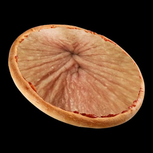 ANUSPIZZA